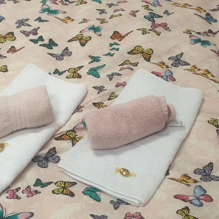 The Historical Family House-cluj Napoca Center Appartement *