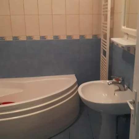 The Historical Family House-cluj Napoca Center Apartment Cluj-Napoca