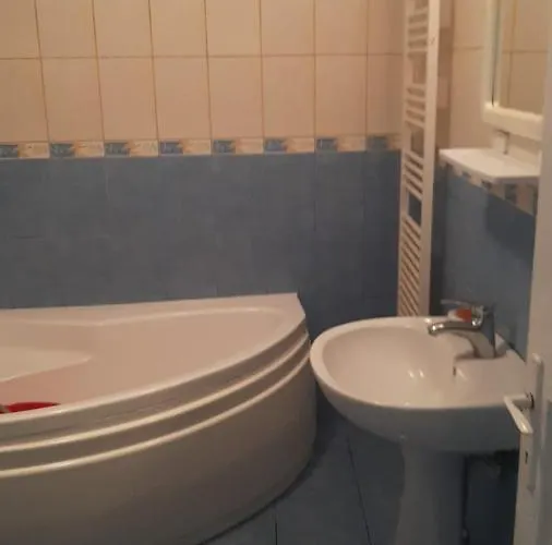 The Historical Family House-cluj Napoca Center Appartement Cluj-Napoca